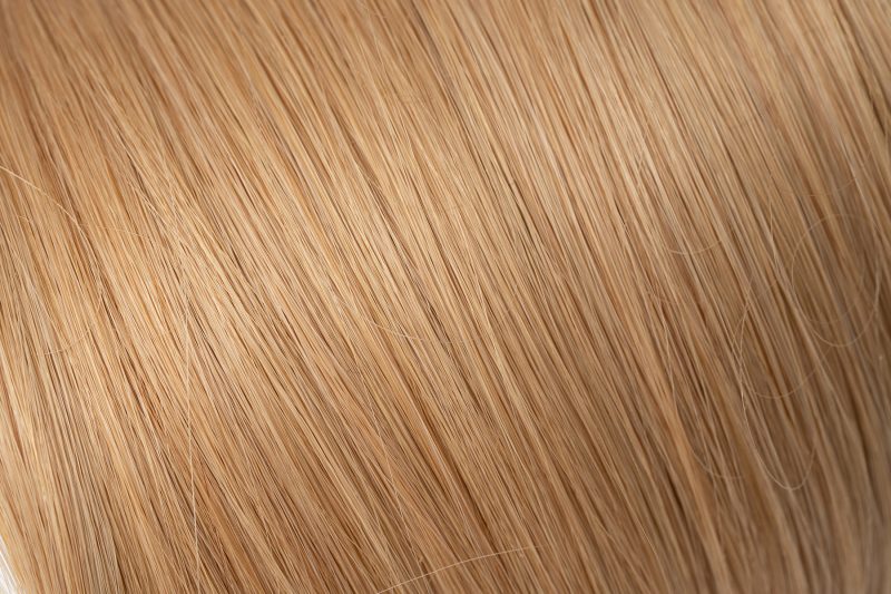 Light Warm Blonde